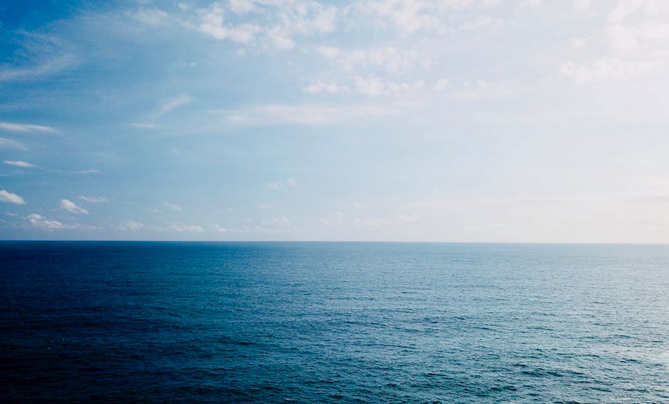 Melissa Thomas tweet media