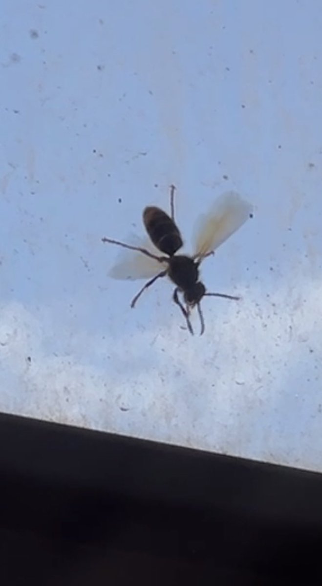 Marti Arti tweet media