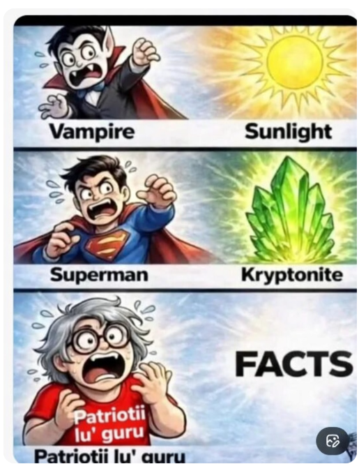 Liberal voice tweet media