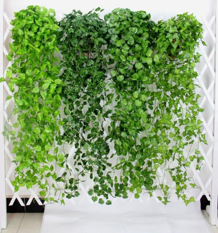 Ravi Pandey tweet media