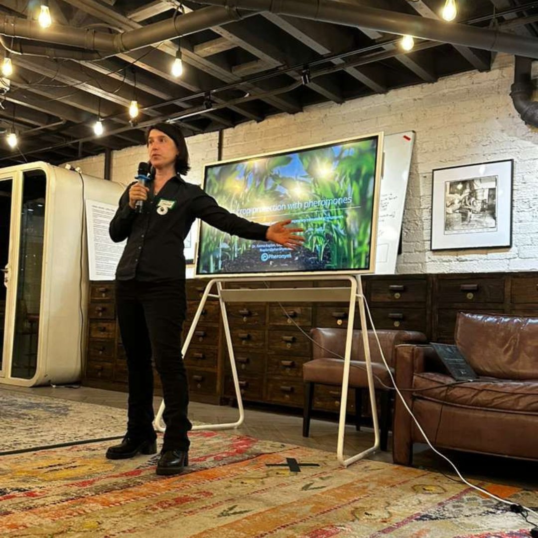 Pheronym tweet media