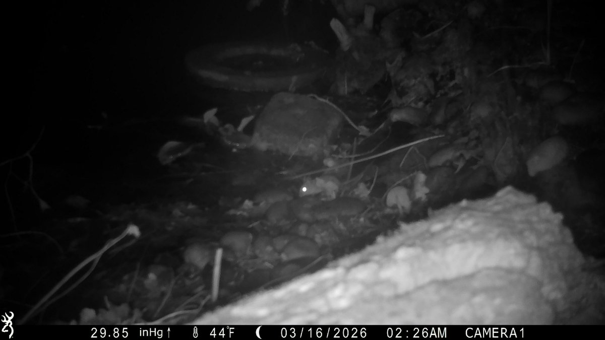 David Turner tweet media