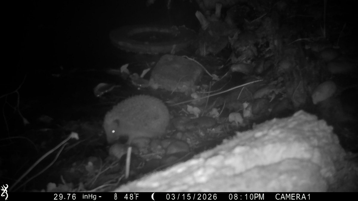 David Turner tweet media