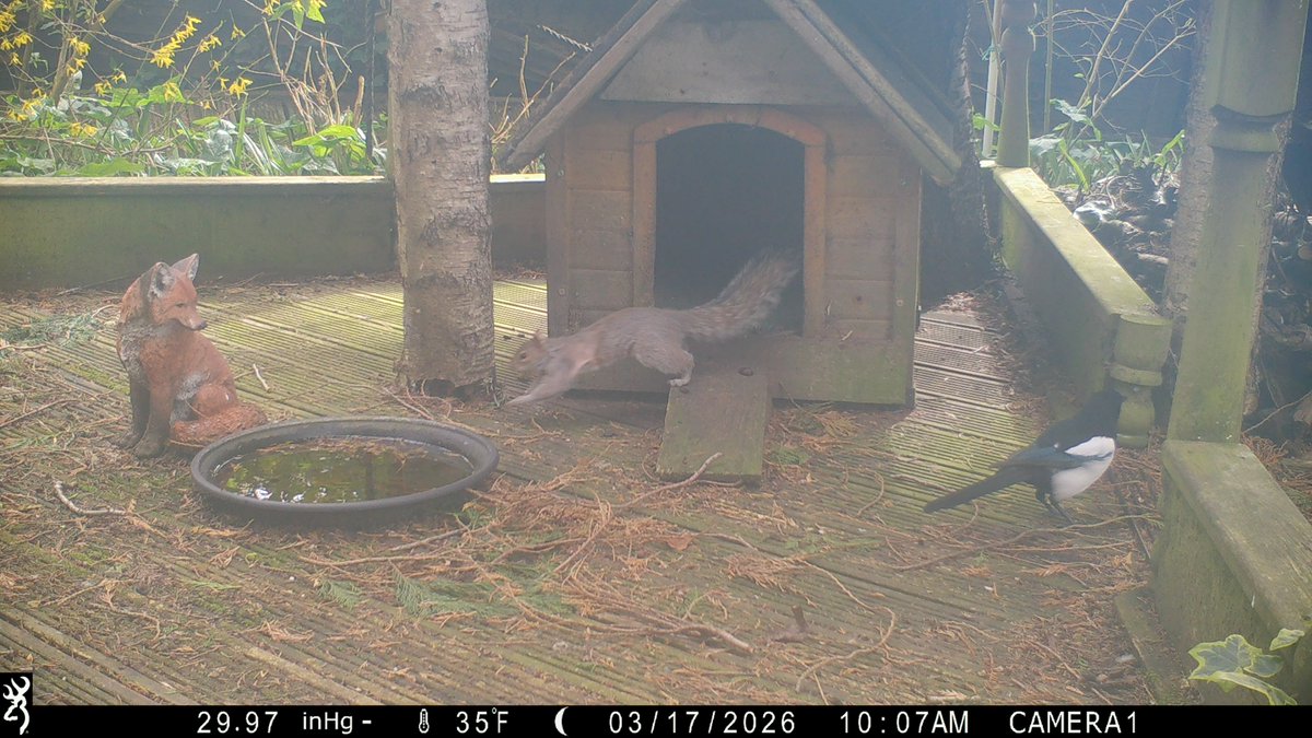 David Turner tweet media