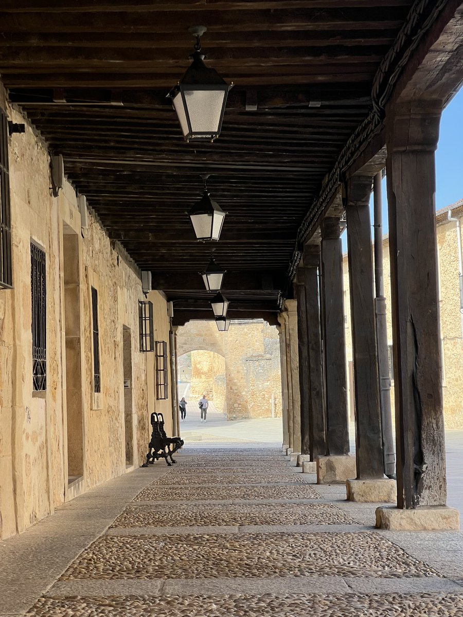 Fran Povea tweet media