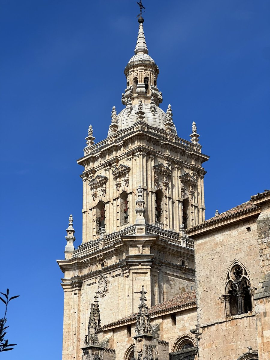 Fran Povea tweet media