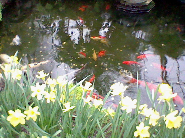 kaptrice tweet media