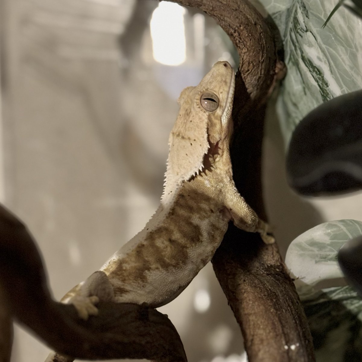 ㅈㅇㅇ tweet media