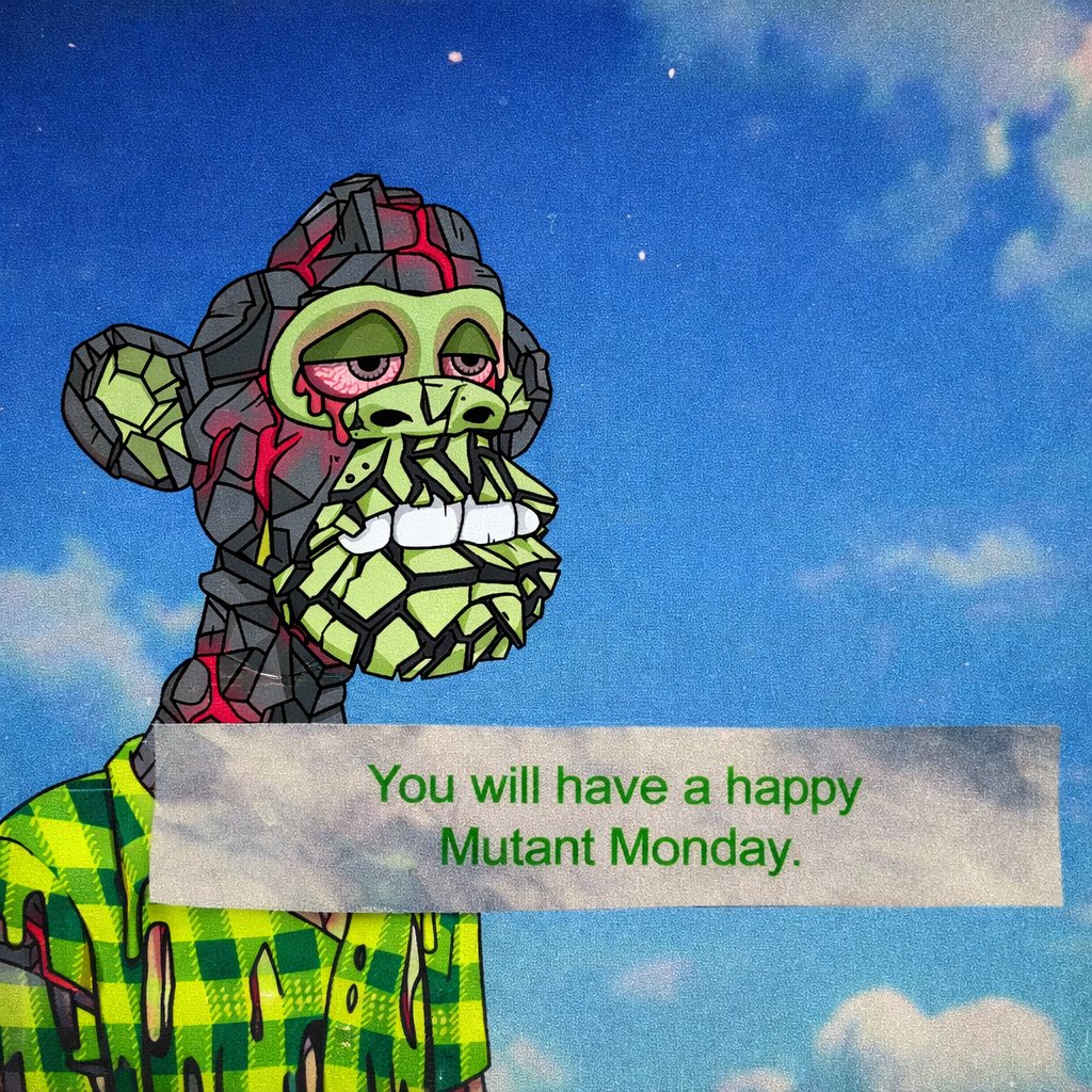 𝔖𝔱𝔢𝔩𝔩𝔞 tweet media