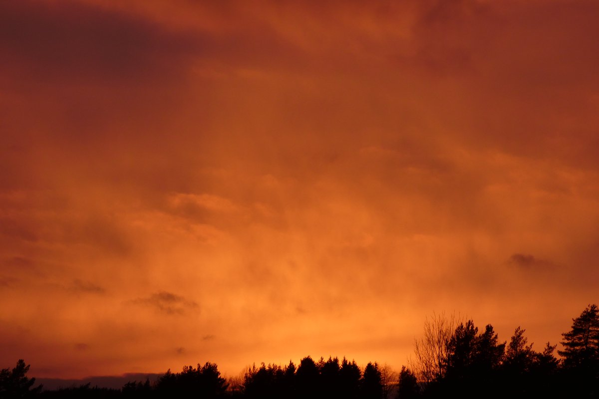 Patrick Hublin tweet media