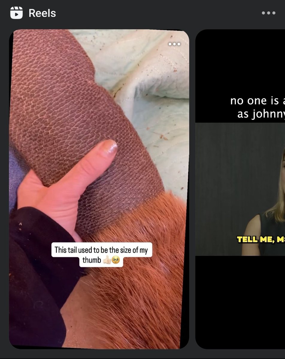 Osborne Crocs tweet media