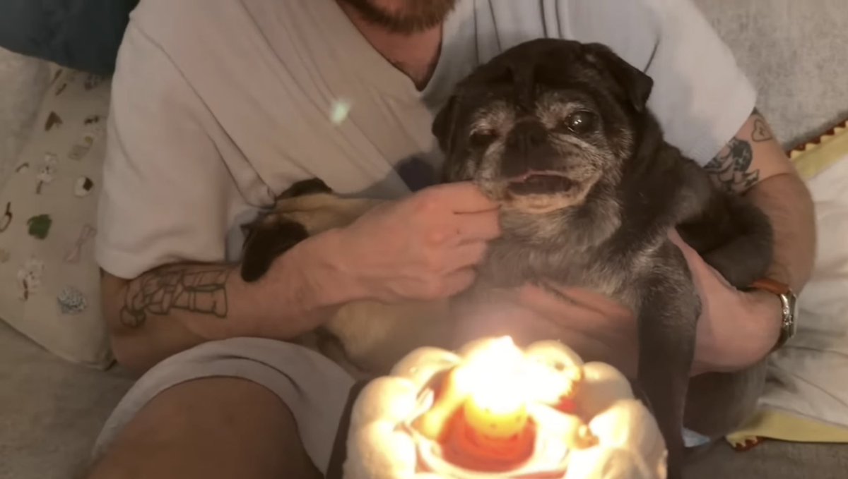 Monkey D. Totti tweet media