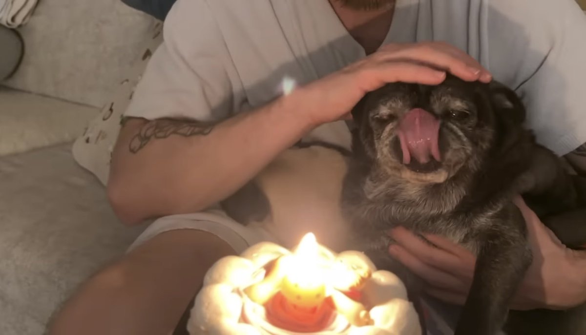 Monkey D. Totti tweet media