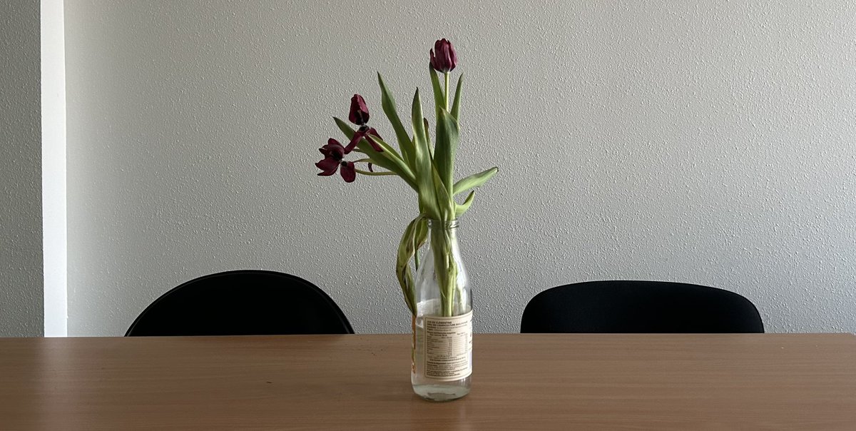 ad sidera tweet media