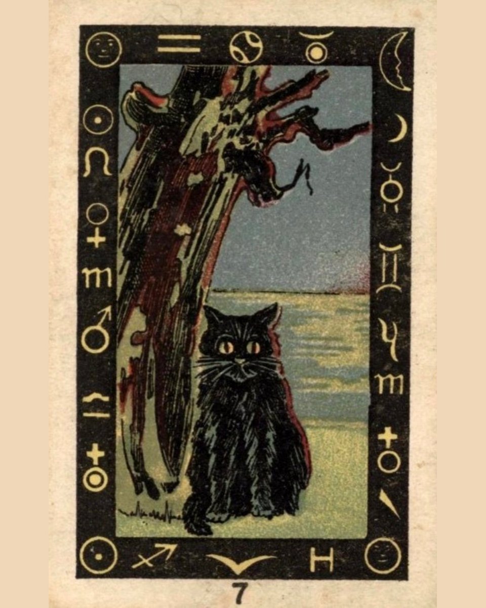 Archaeology & Art tweet media