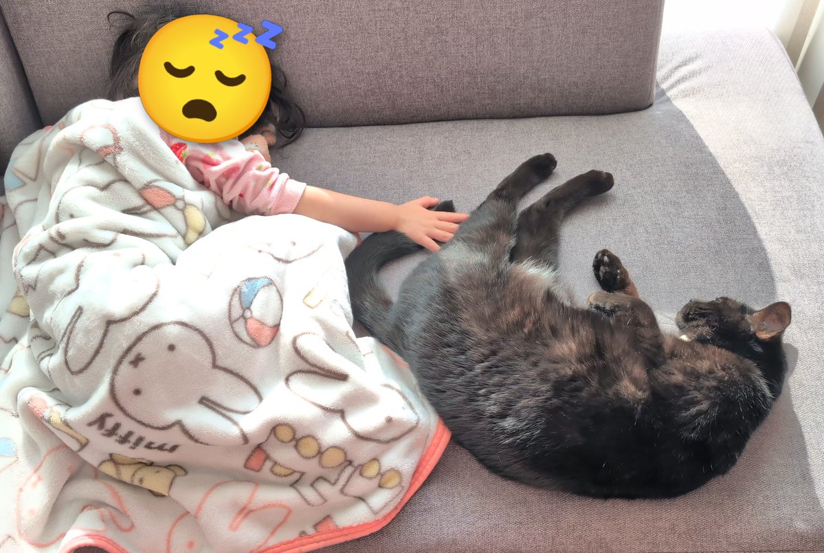 仔猫を拾ったので tweet media