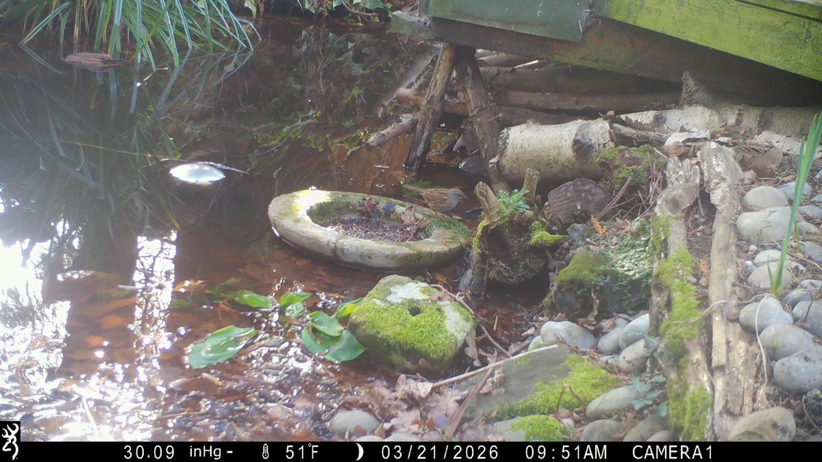 David Turner tweet media