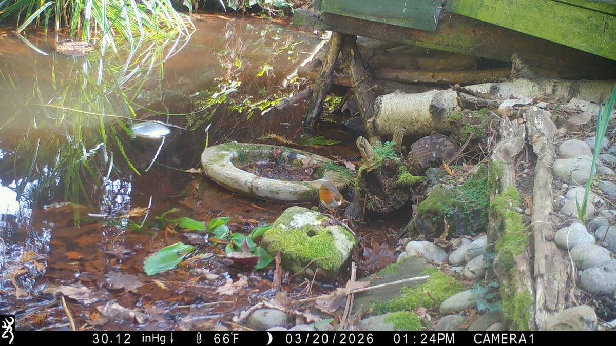 David Turner tweet media