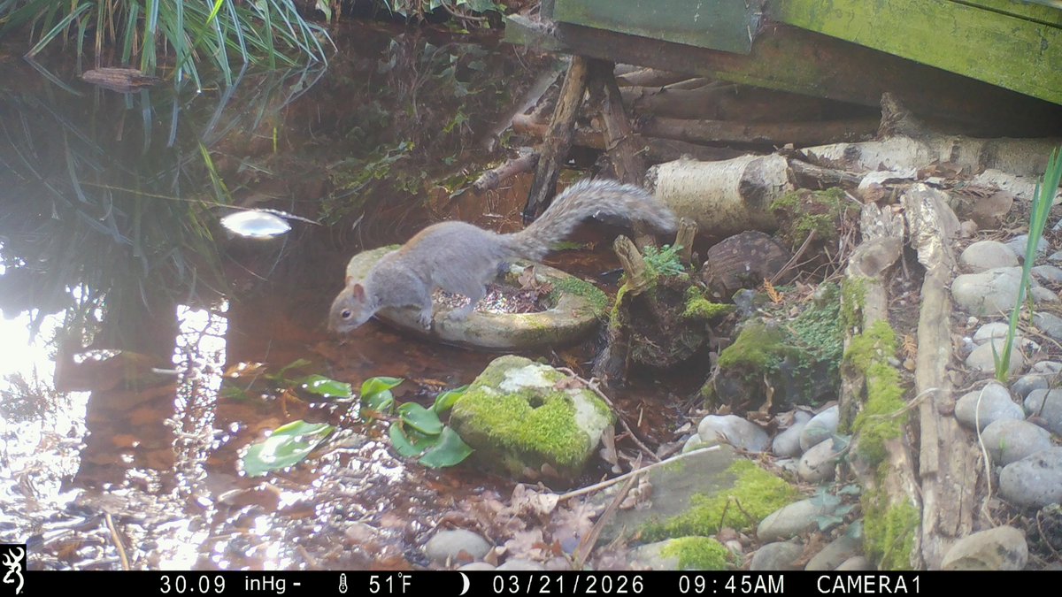 David Turner tweet media