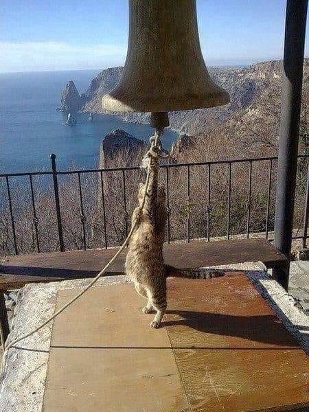 Orthodox Meme Squad tweet media