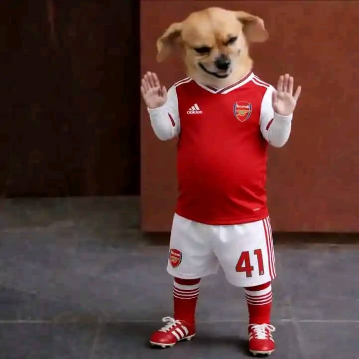 Smallyoung◼️ tweet media