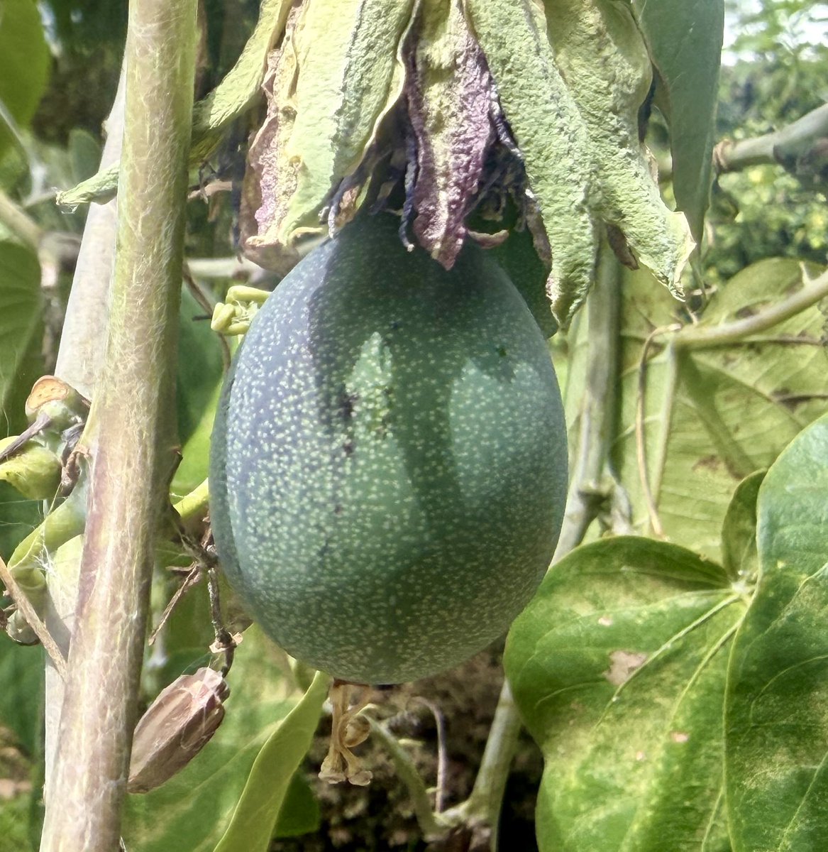 Lorena Hurtado tweet media