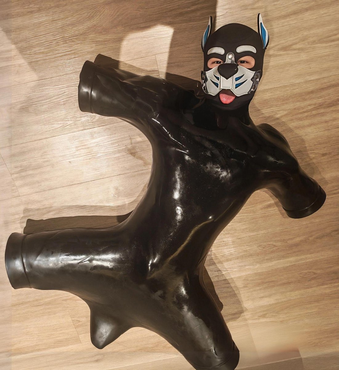 Long_龙 tweet media