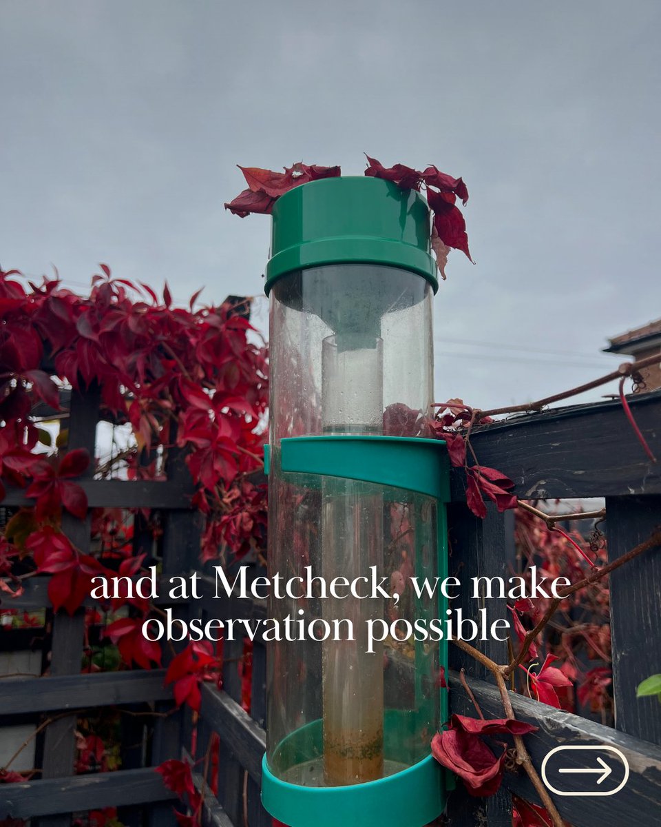 Metcheck's tweet photo. Today is World Meteorological Day 🌤️ This year's theme, Observing Today, Protecting Tomorrow, feels like it was written for the ones who find something special in simply knowing what the sky is doing.

What's your morning weather routine? https://t.co/ztvN25Aby3 https://t.co/wtY4C8L6f5