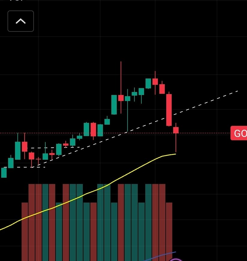 The Liberty Offensive tweet media