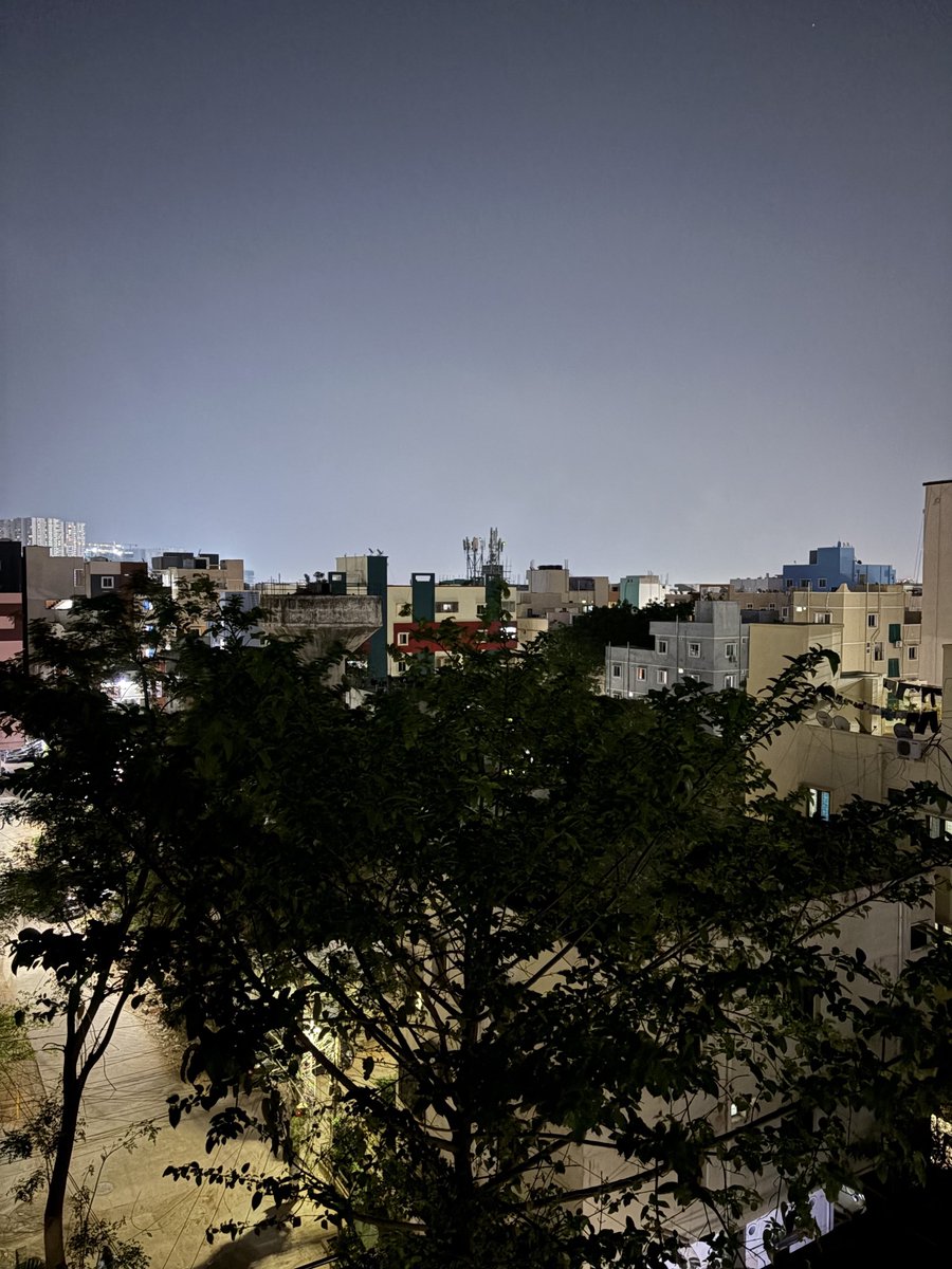 Noah Cat tweet media