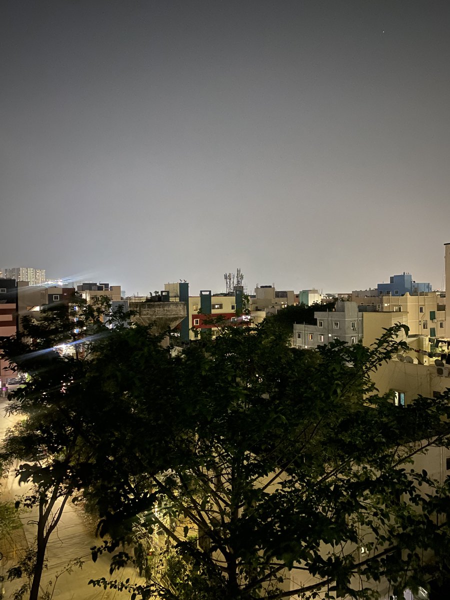 Noah Cat tweet media