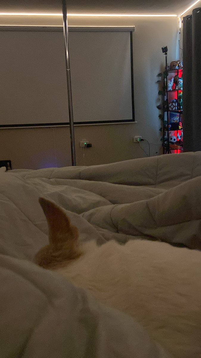 KendoMurft tweet media