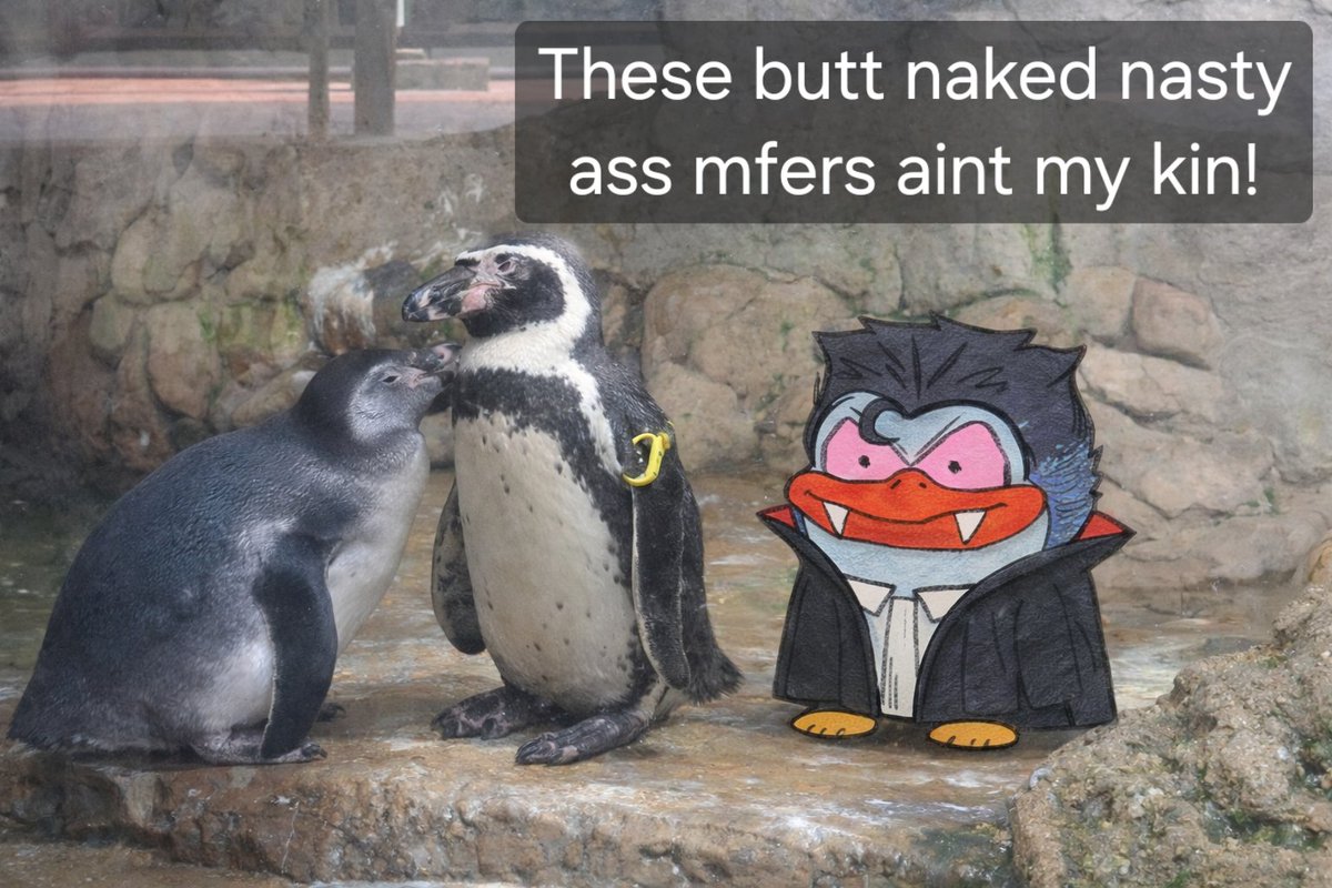 Poppa aka MrShades tweet media