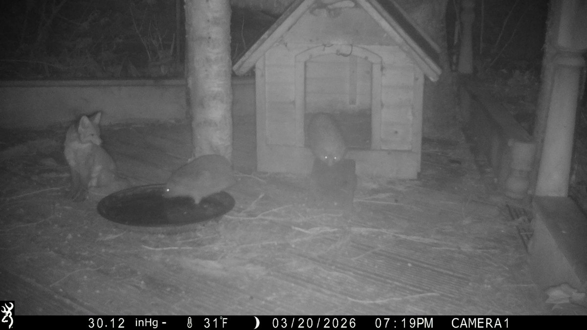 David Turner tweet media