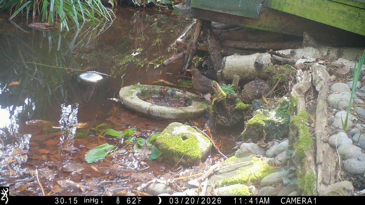 David Turner tweet media