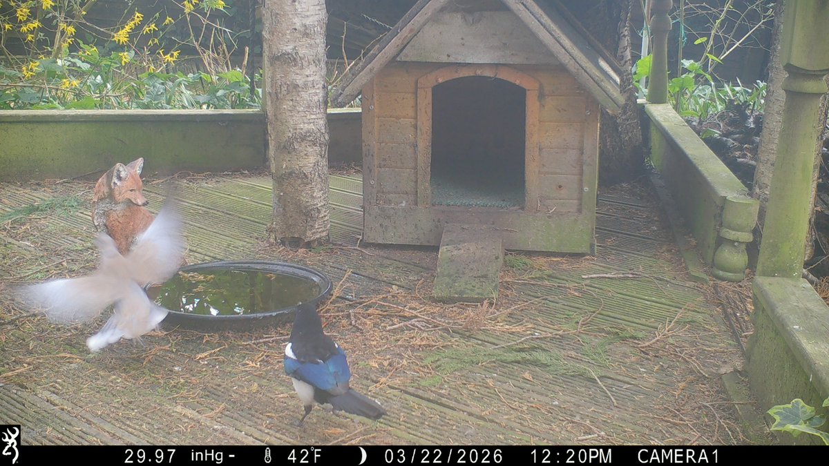 David Turner tweet media