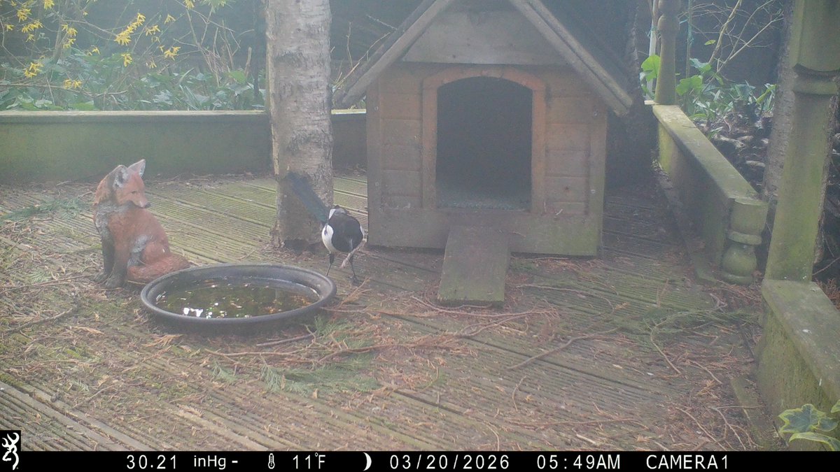 David Turner tweet media