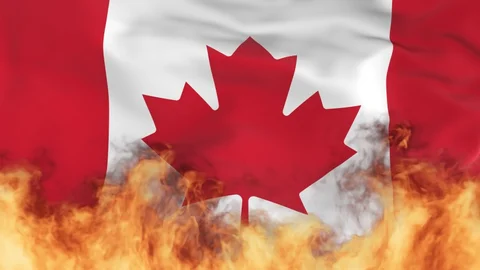 هايدي الحاج 🇵🇸 tweet media