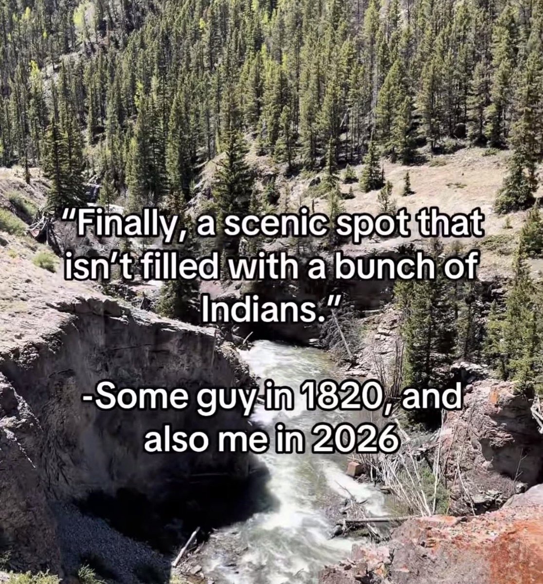 Kosher McKosherwitz tweet media