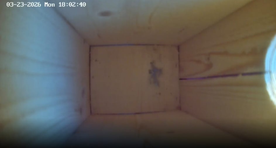 Signe Gulbe tweet media