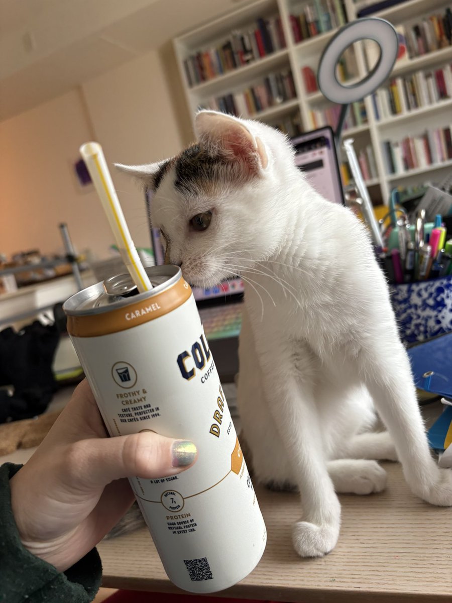 A.V. Marraccini tweet media