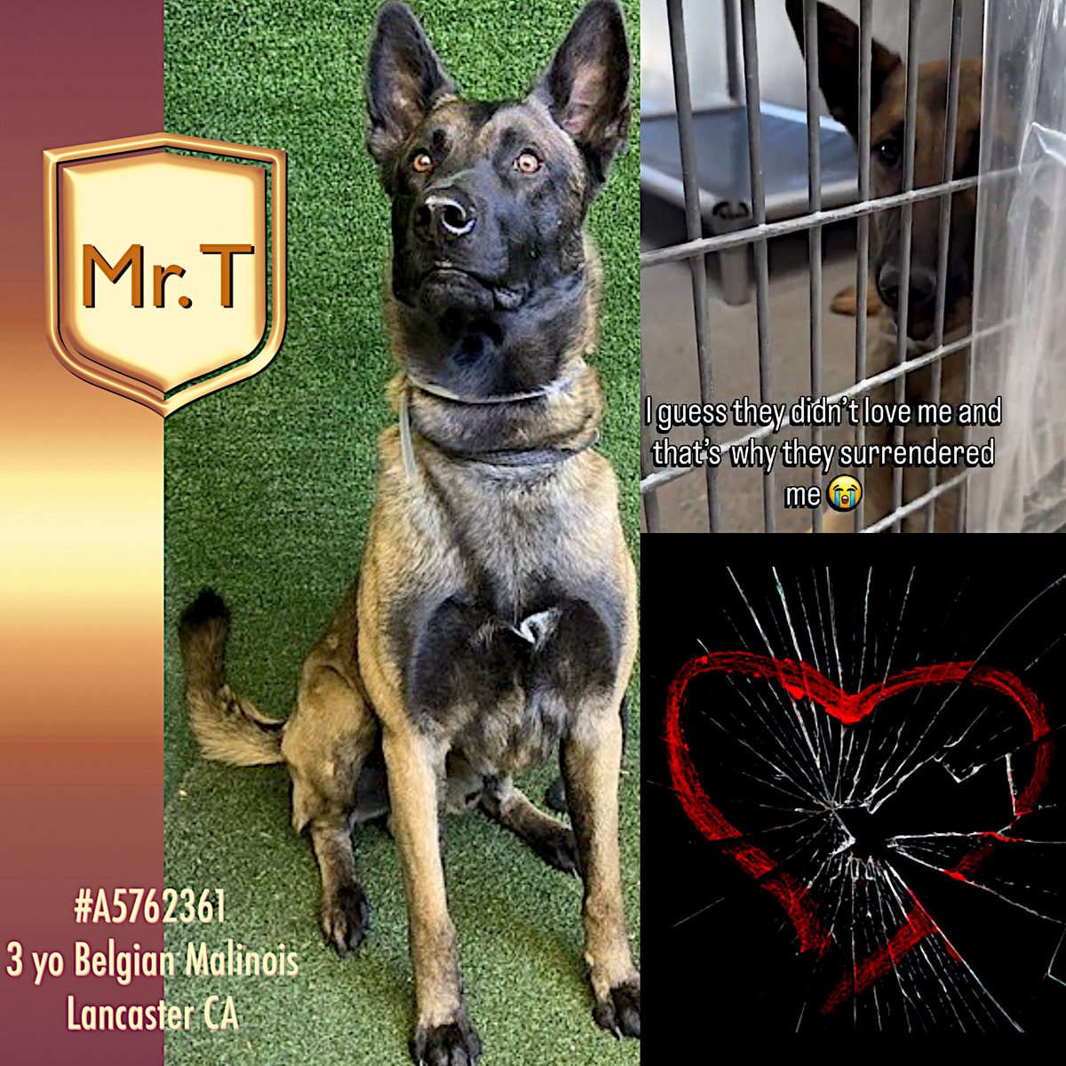 Malimum 🇩🇪 tweet media