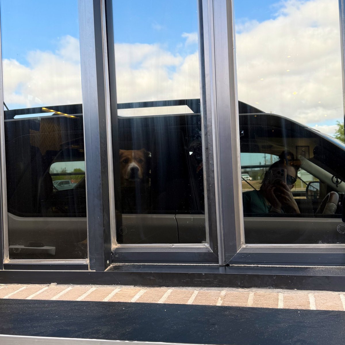 🎀Tuggs🎀✝️ tweet media