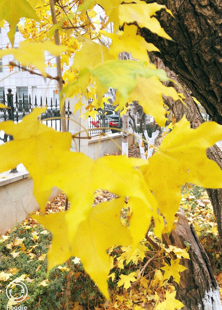 Tingwoon tweet media