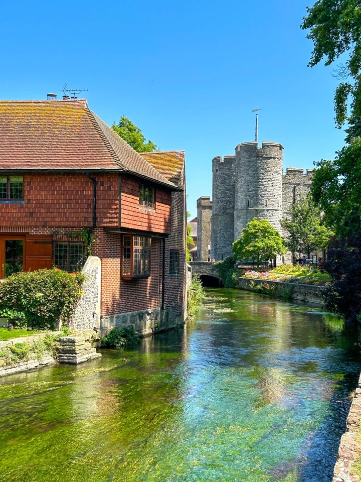 Steve 🇬🇧 tweet media