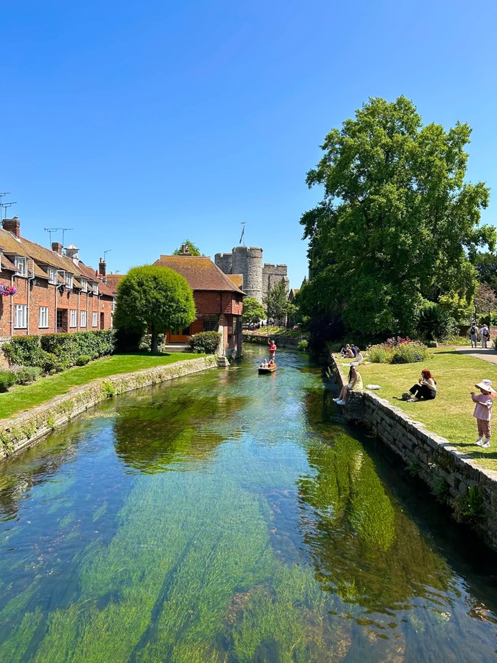 Steve 🇬🇧 tweet media