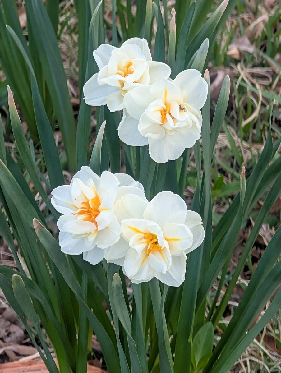 Richard42 tweet media