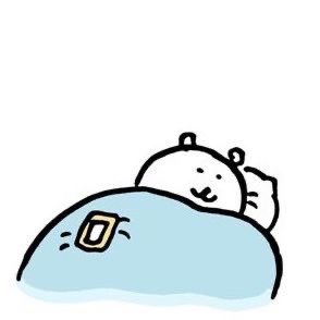 김참새 tweet media