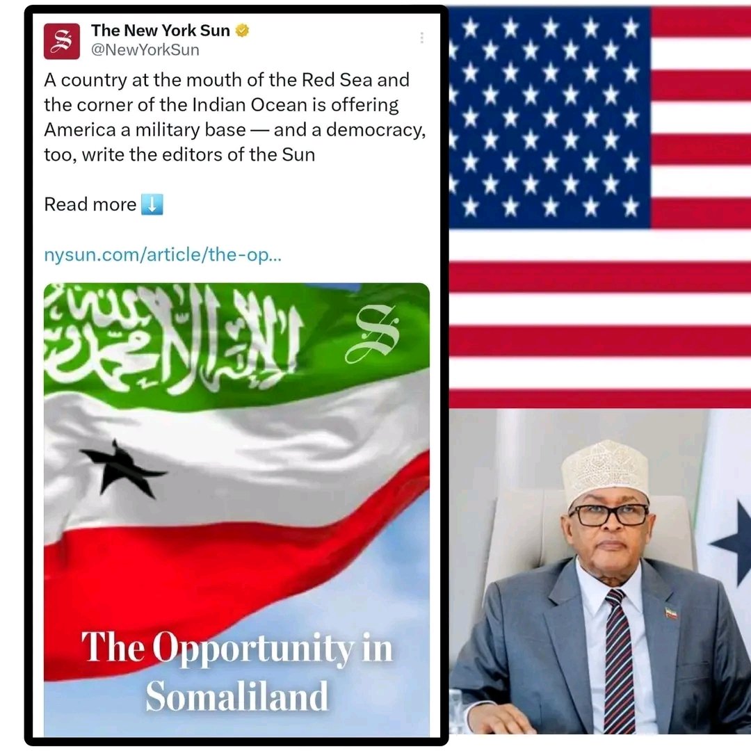 Dr. Ali Hersi tweet media