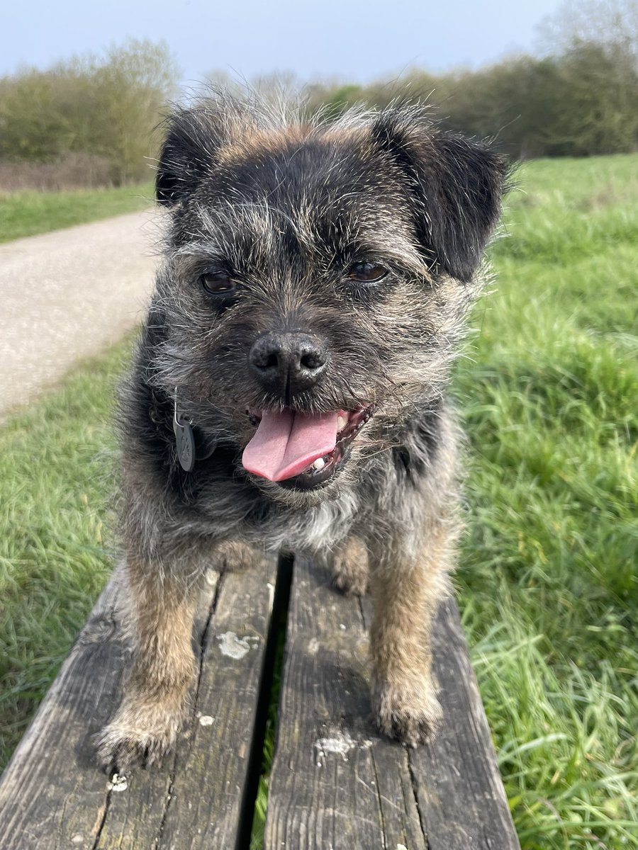 @TrudyTerrier OBE 👑 tweet media